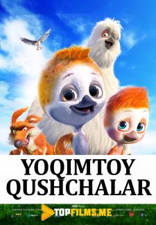 Yoqimtoy qushchalar Uzbek tilida 2018 multfilm skachat