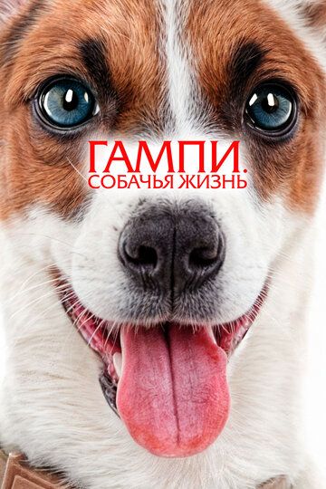 Gampi. Itlar hayoti / Gampining sarguzashtlari Uzbek Tilida 2024 kino skachat FHD