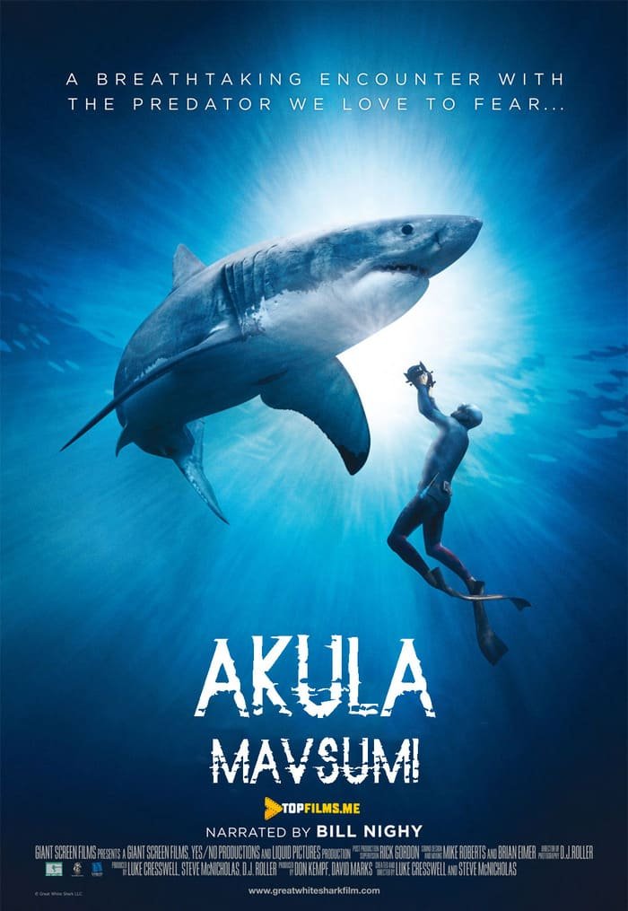 Akula Mavsumi / Akula Mavsumi Uzbek tilida 2020 kino skachat FHD